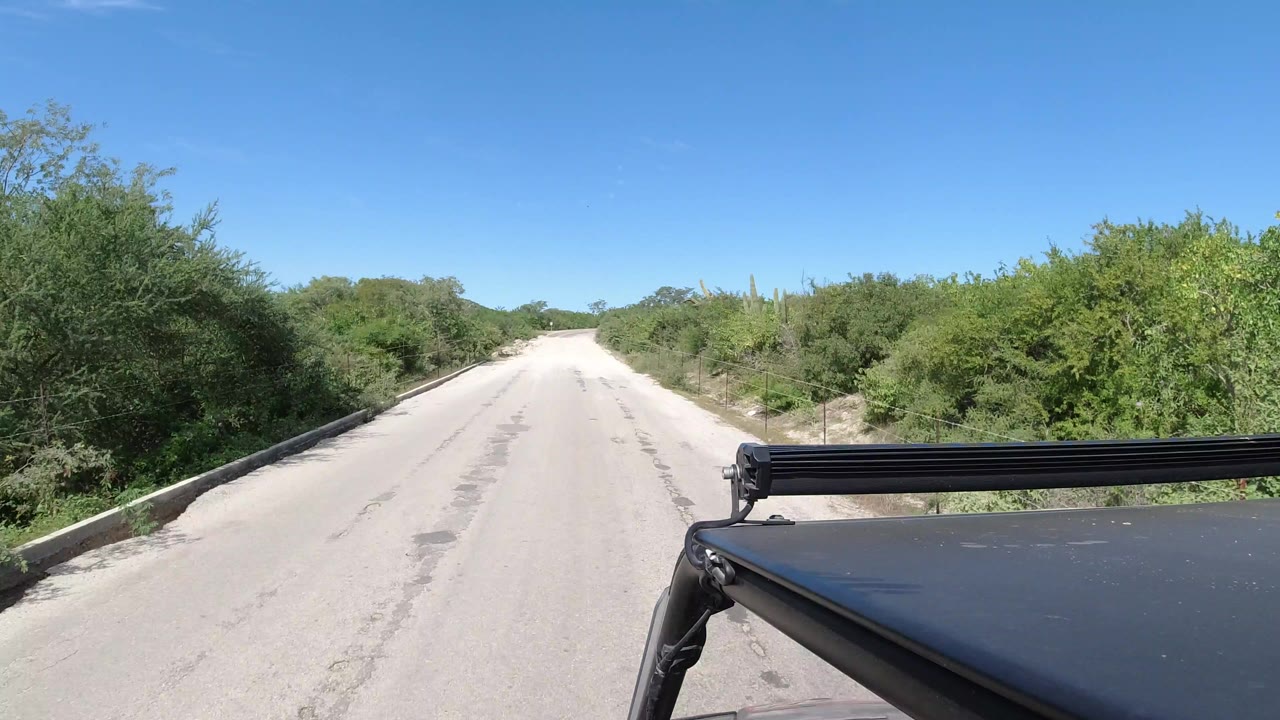 A Los Cabos sandy road runs straight ahead between dense green shrubs under a clear blue sky, with black vehicle hardware visible at the lower right and no visible people.