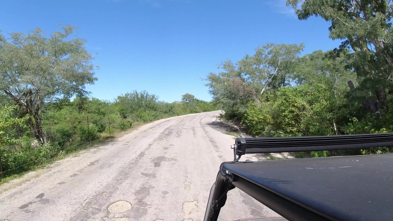 Empty road curving slightly with shrubs and trees on both sides.