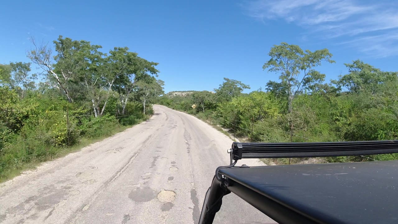 Quiet road curving slightly through green roadside vegetation.