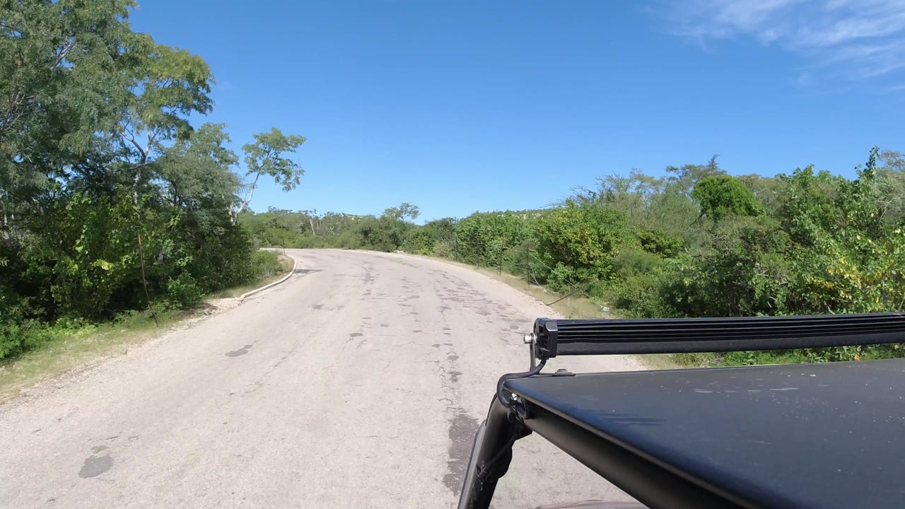 Curving empty road with dense trees and a vehicle rack in the foreground.