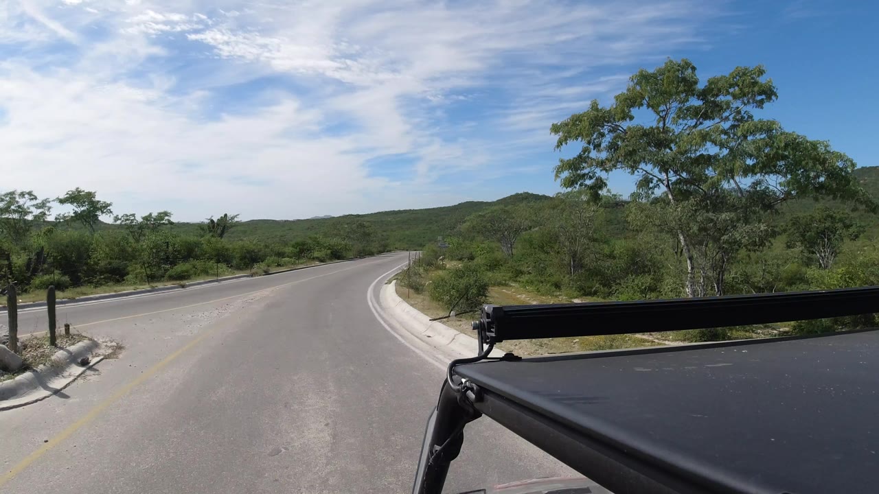 Second view in Los Cabos, Mexico, shows the road bend continuing past trees and dense green brush under thin clouds, with no visible people.