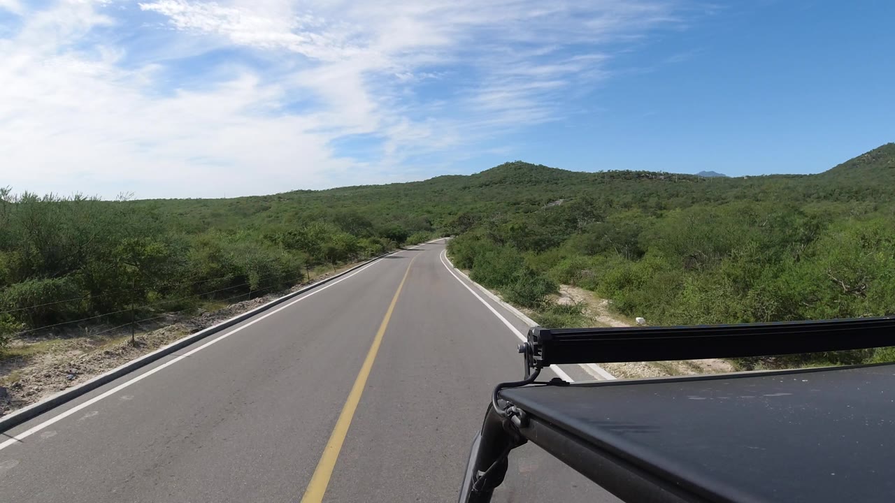 Curving paved road bordered by thick green vegetation