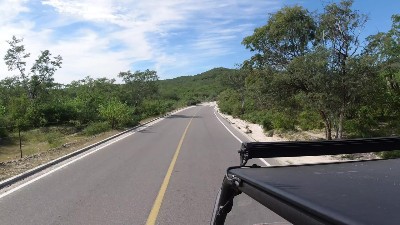 Narrow paved road through green roadside brush under a blue sky.