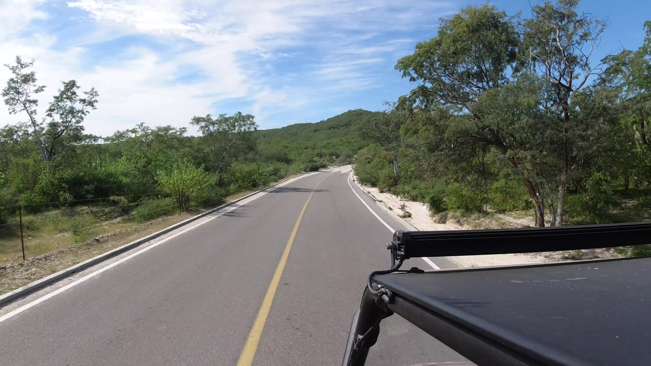 Los Cabos, Mexico driving view one second in, with the road stretching toward a low hill, dense roadside trees, bright midday light, vehicle rack in the foreground, and no visible people.