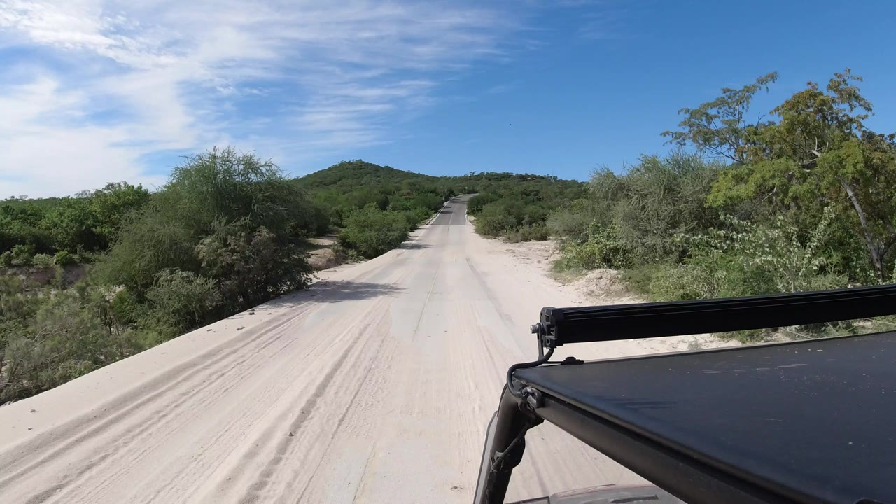 A centered road view in Los Cabos, Mexico shows the vehicle edge at lower right, dense roadside greenery, pale pavement, distant hills, and no visible people.