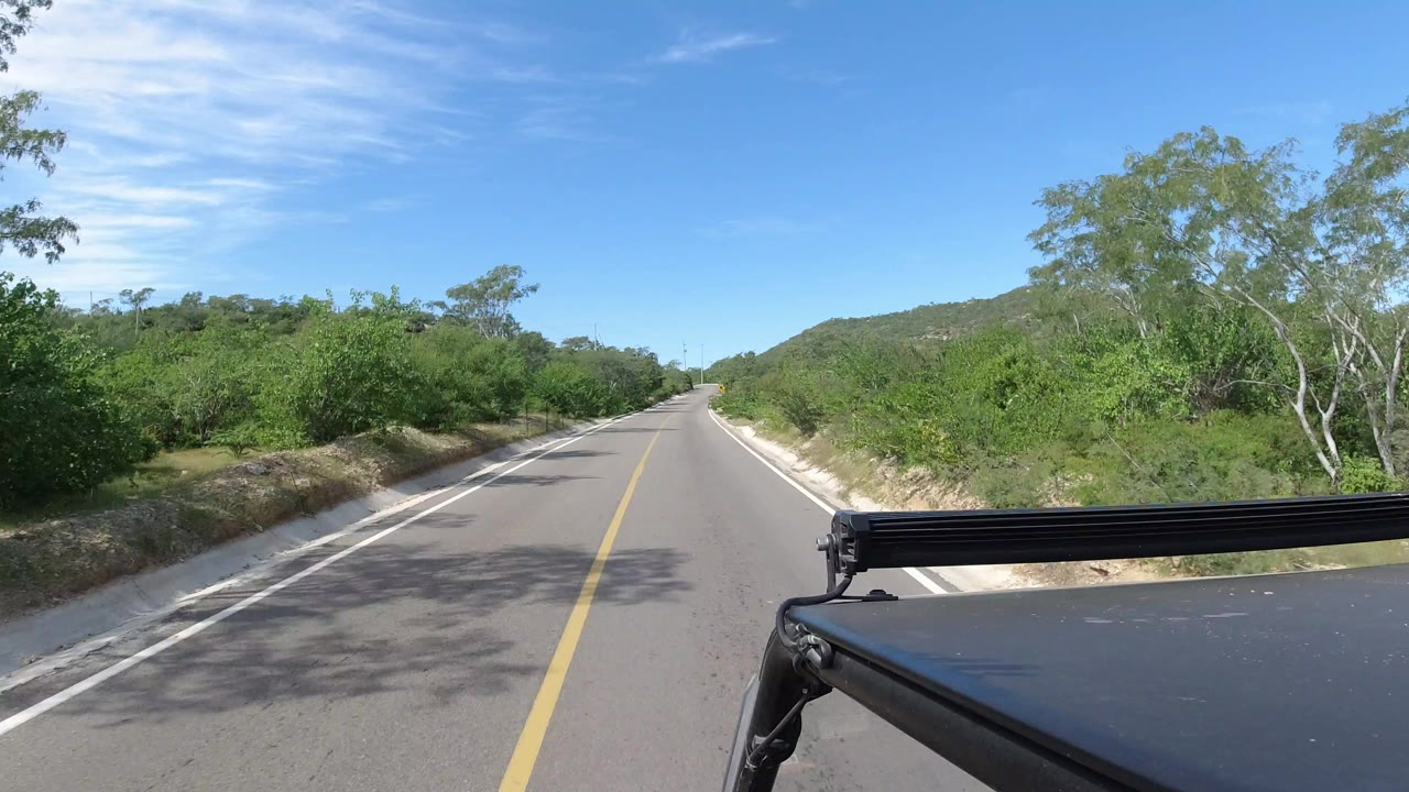 Forward road view in Los Cabos, Mexico, with a yellow center line, green roadside trees, low hills ahead, a dark vehicle edge at bottom right, and no visible people.