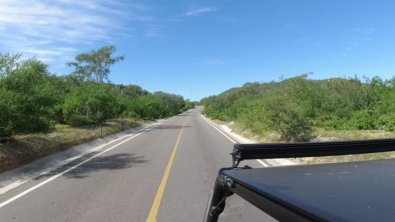 Road curving gently through green roadside vegetation.