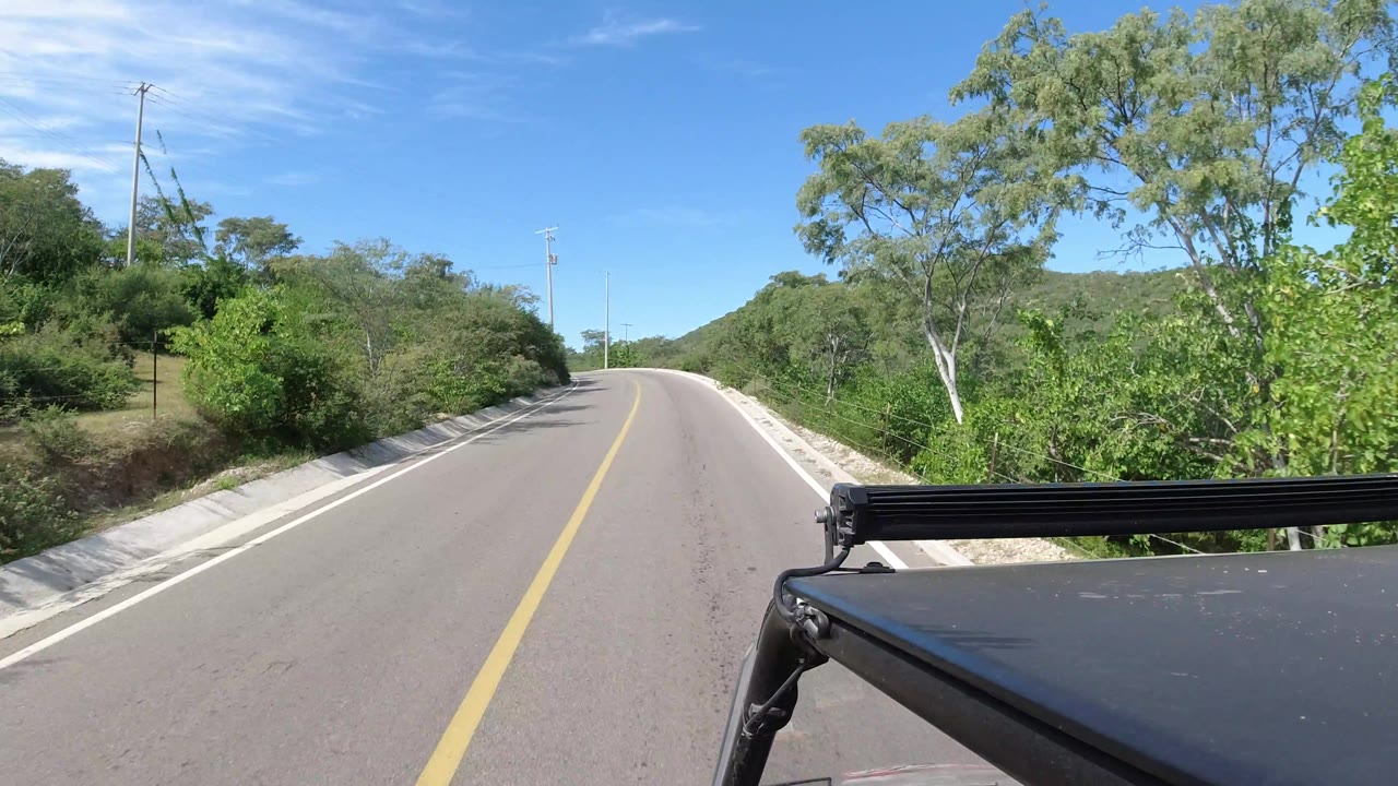 Curving empty road bordered by shrubs and trees under a clear blue sky.