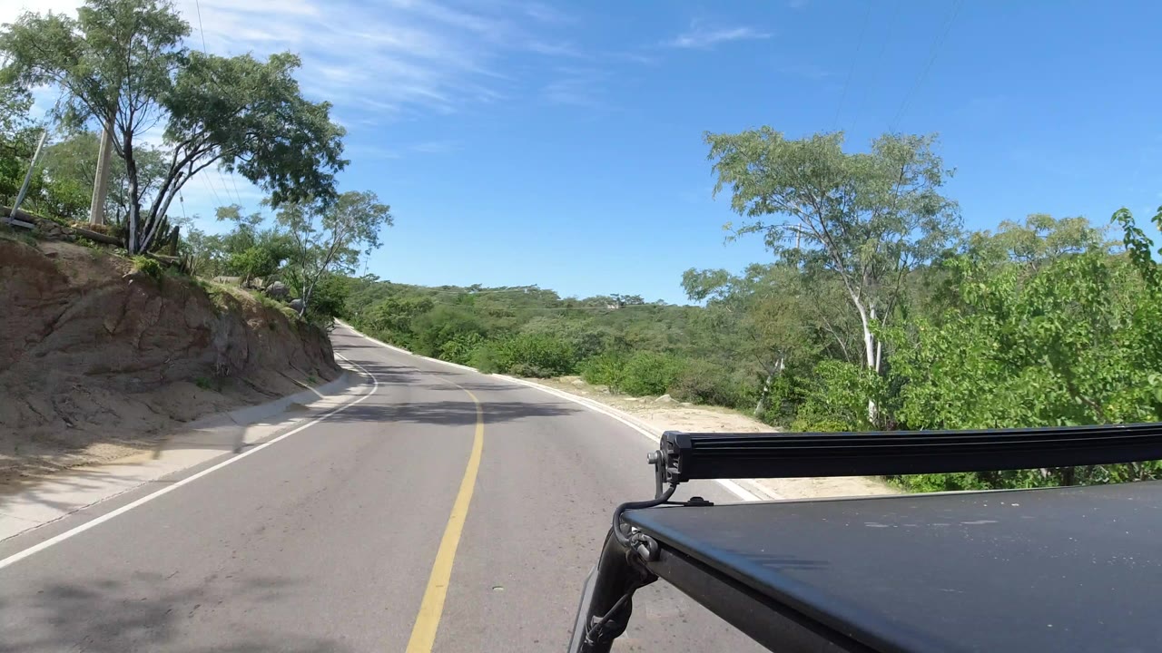 Forward vehicle-height view of a Los Cabos road curving left past a cut dirt bank, green trees, and blue sky, with no visible people.