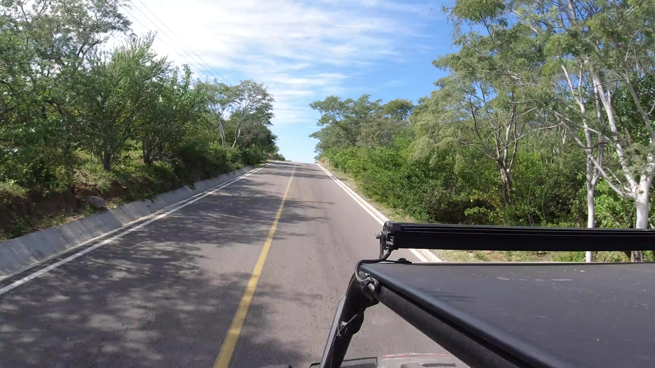The vehicle continues along a straight Los Cabos road with tree shadows across the pavement, dense brush on both sides, and no visible people.