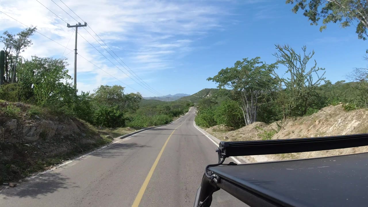 Vehicle-mounted view along an open Los Cabos road, with a dry cut bank on the right, green trees on both sides, overhead lines, and no visible people.