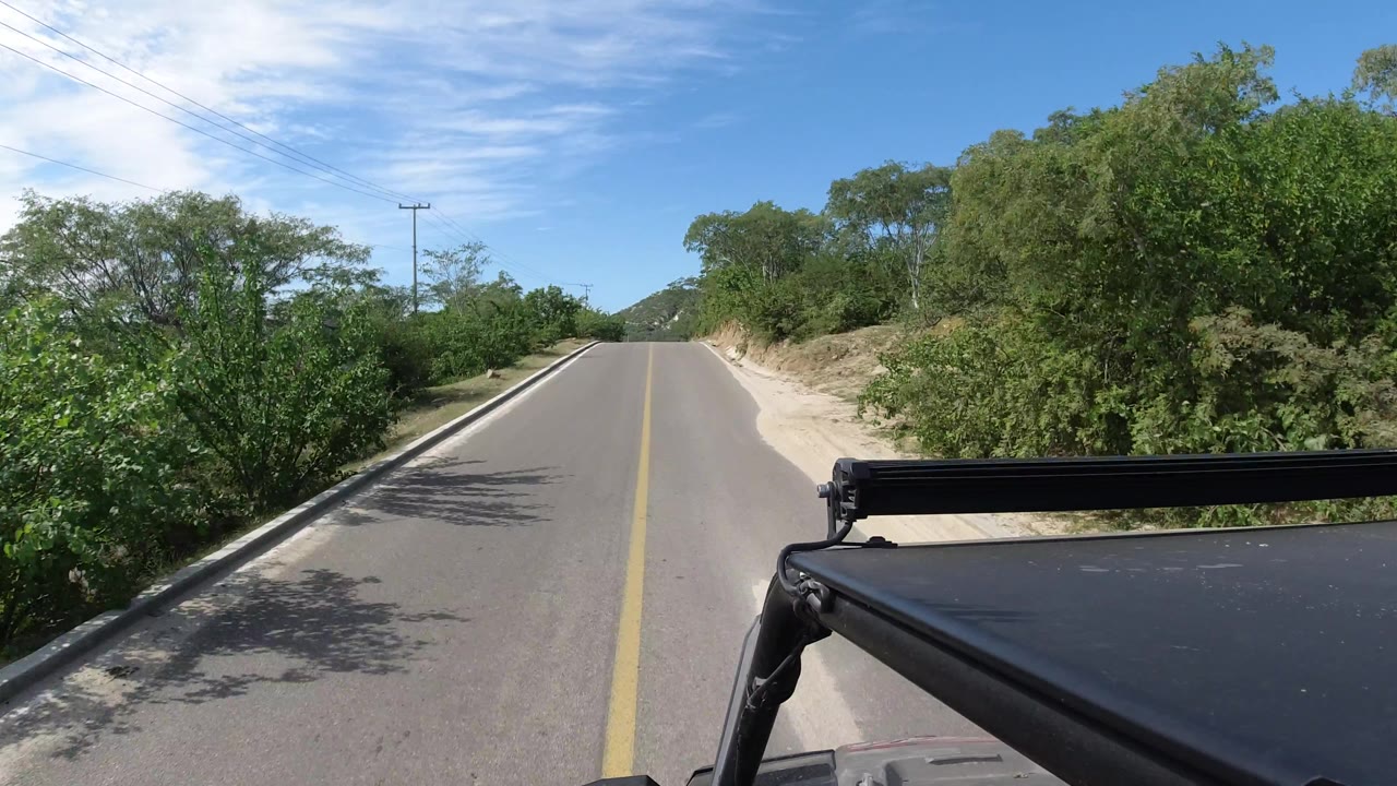 Road curves slightly past dense roadside trees and a vehicle roof edge.