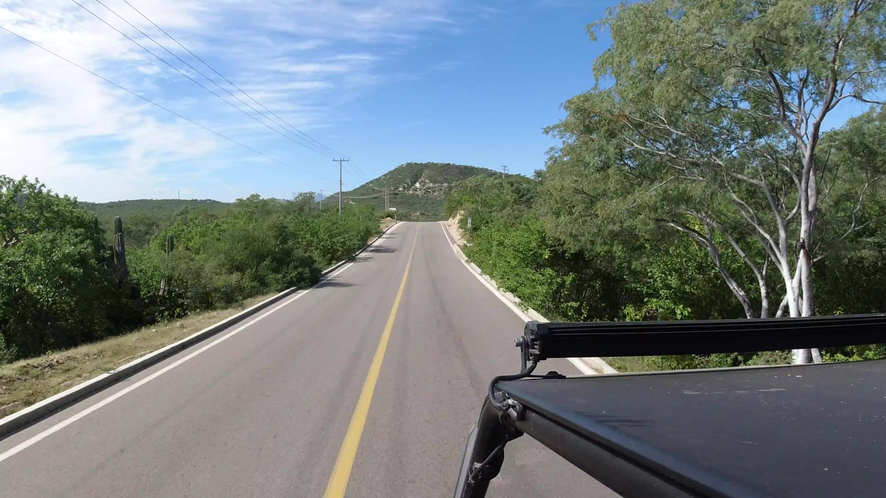 A vehicle-mounted view continues along the Los Cabos highway, with a large tree on the right, dense brush along both shoulders, and no visible people.