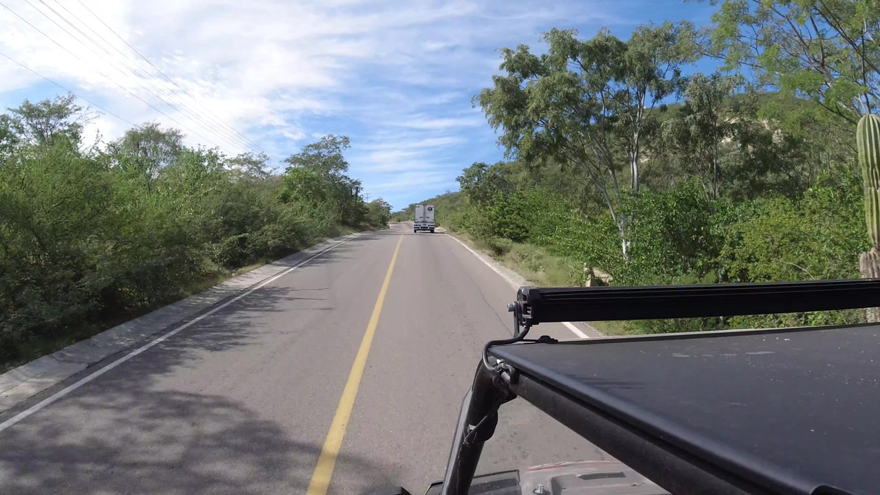 Vehicle POV on a sunny road with cactus and brush near the roadside.