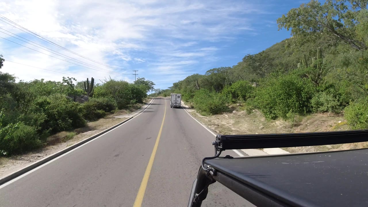 White truck on a straight road bordered by dense green desert vegetation.