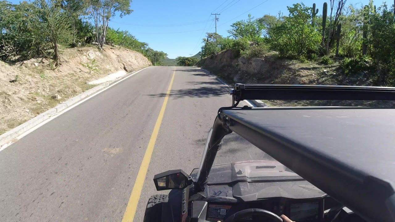 Forward vehicle view on a Los Cabos, Mexico road as the pavement runs between sandy embankments and thick green roadside plants, with no visible people.