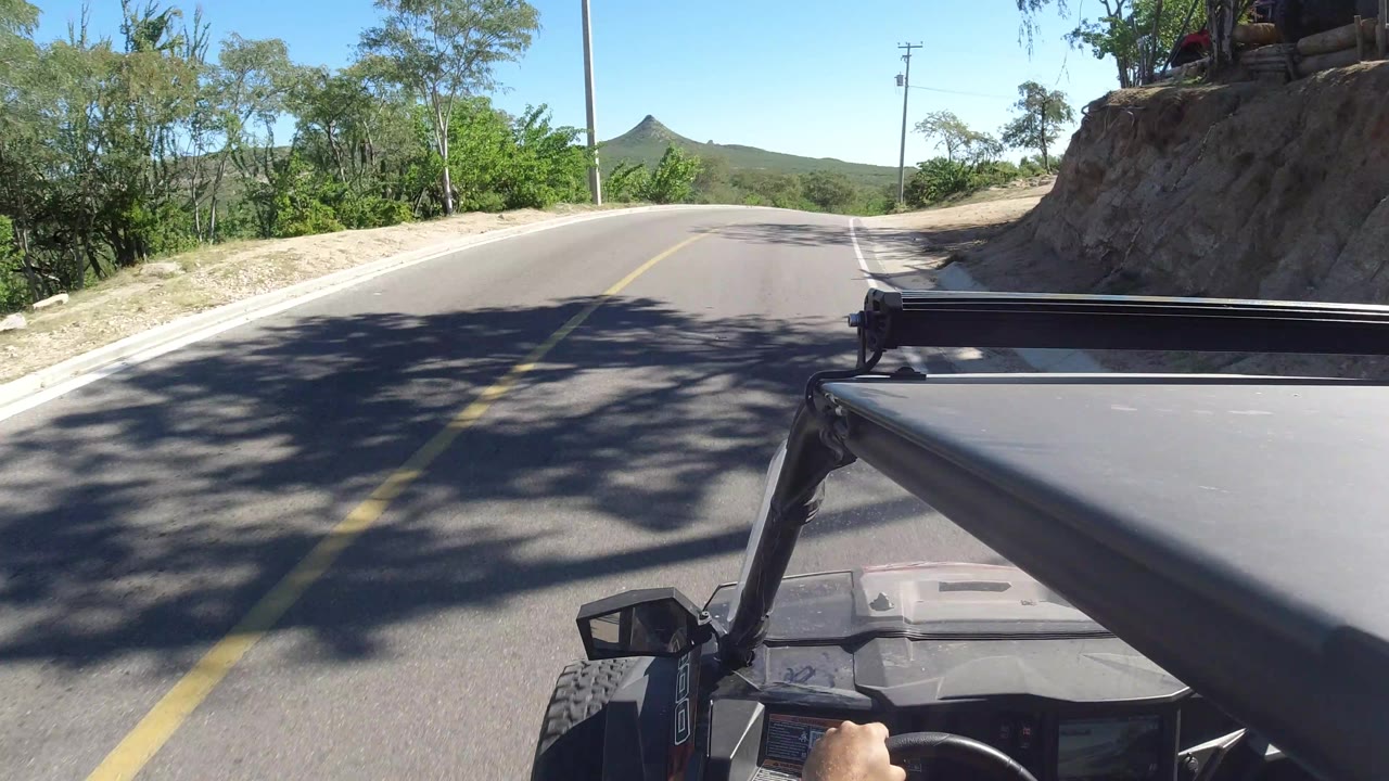 A Los Cabos road scene continues past roadside trees and a sloped dirt bank, with the open vehicle frame in the foreground and no visible faces.
