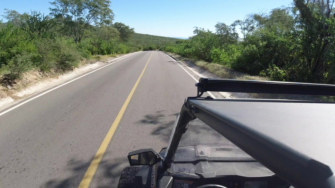 Open road curving slightly through green roadside brush with a safari vehicle edge visible.