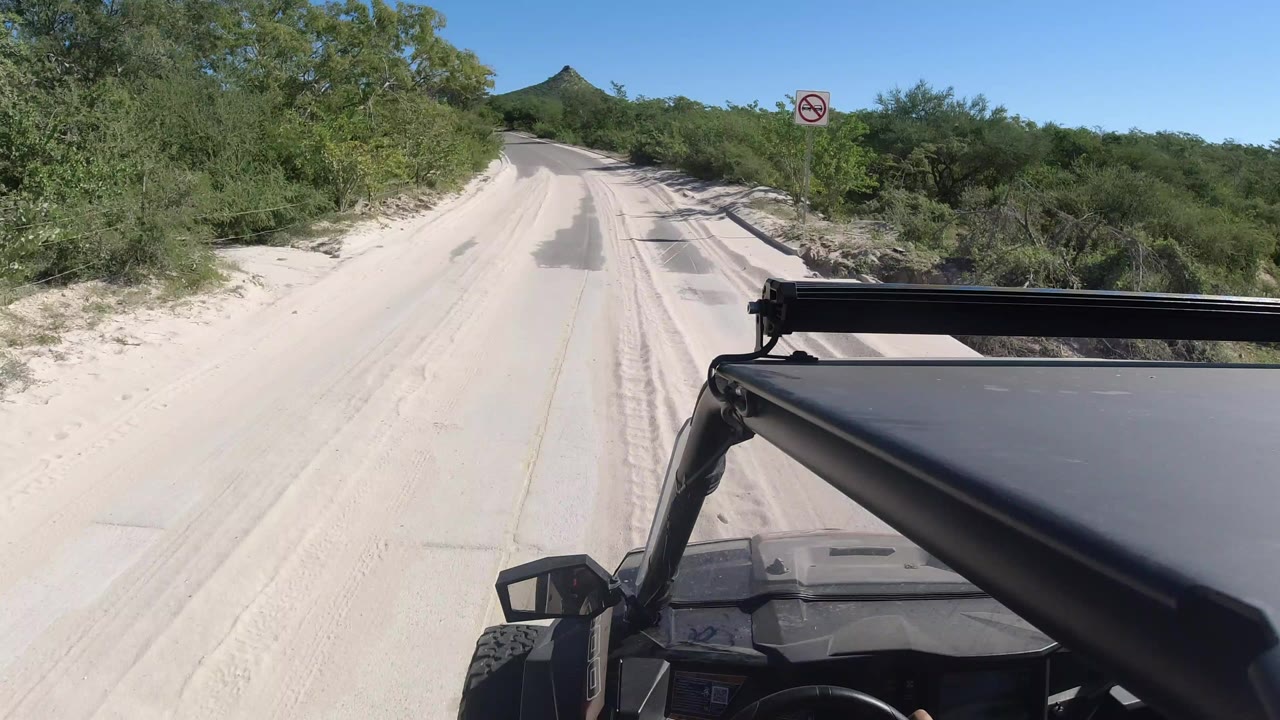 Sandy road ahead from an open vehicle with shrubs on both sides.