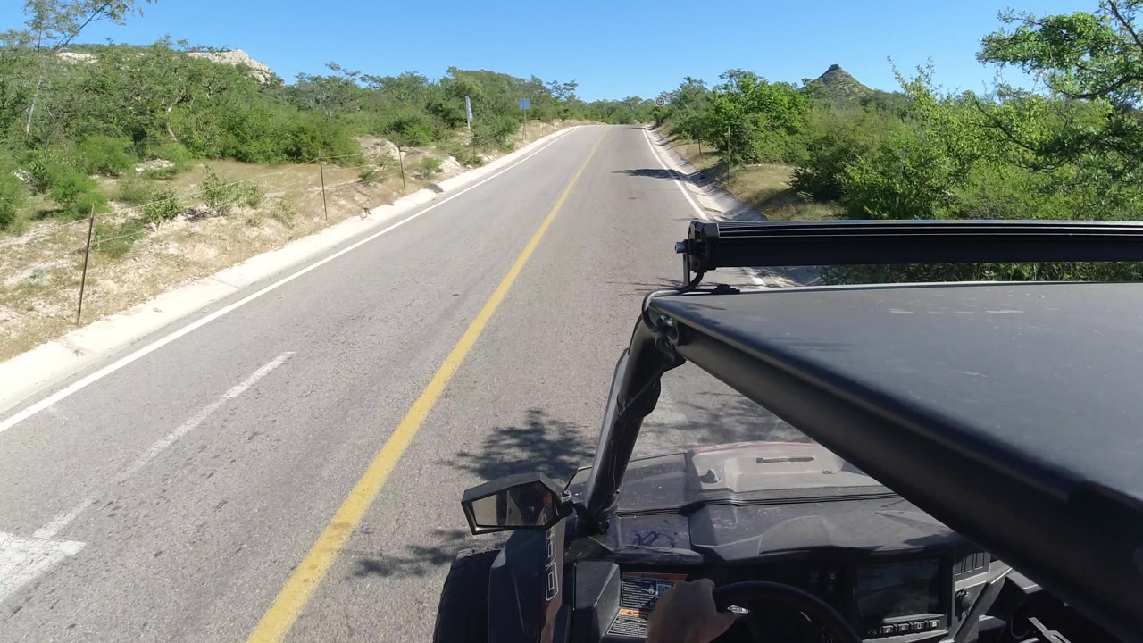 Road ahead with vehicle roof and roadside vegetation.