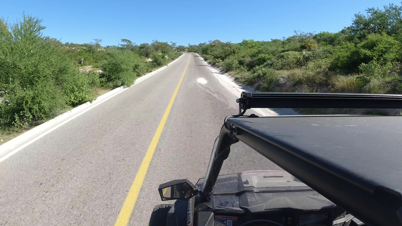 Vehicle foreground and straight two-lane road through low vegetation.