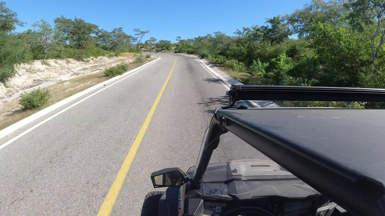 Two-lane road seen from a moving vehicle with desert trees beside it.