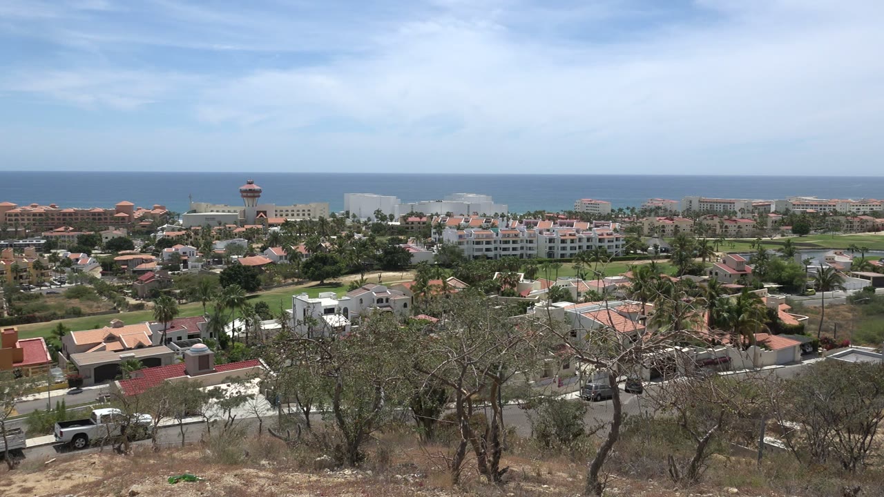 Los Cabos, Mexico town view with scrubby foreground trees, clustered low-rise buildings, palm-lined streets, distant ocean, and no visible people.