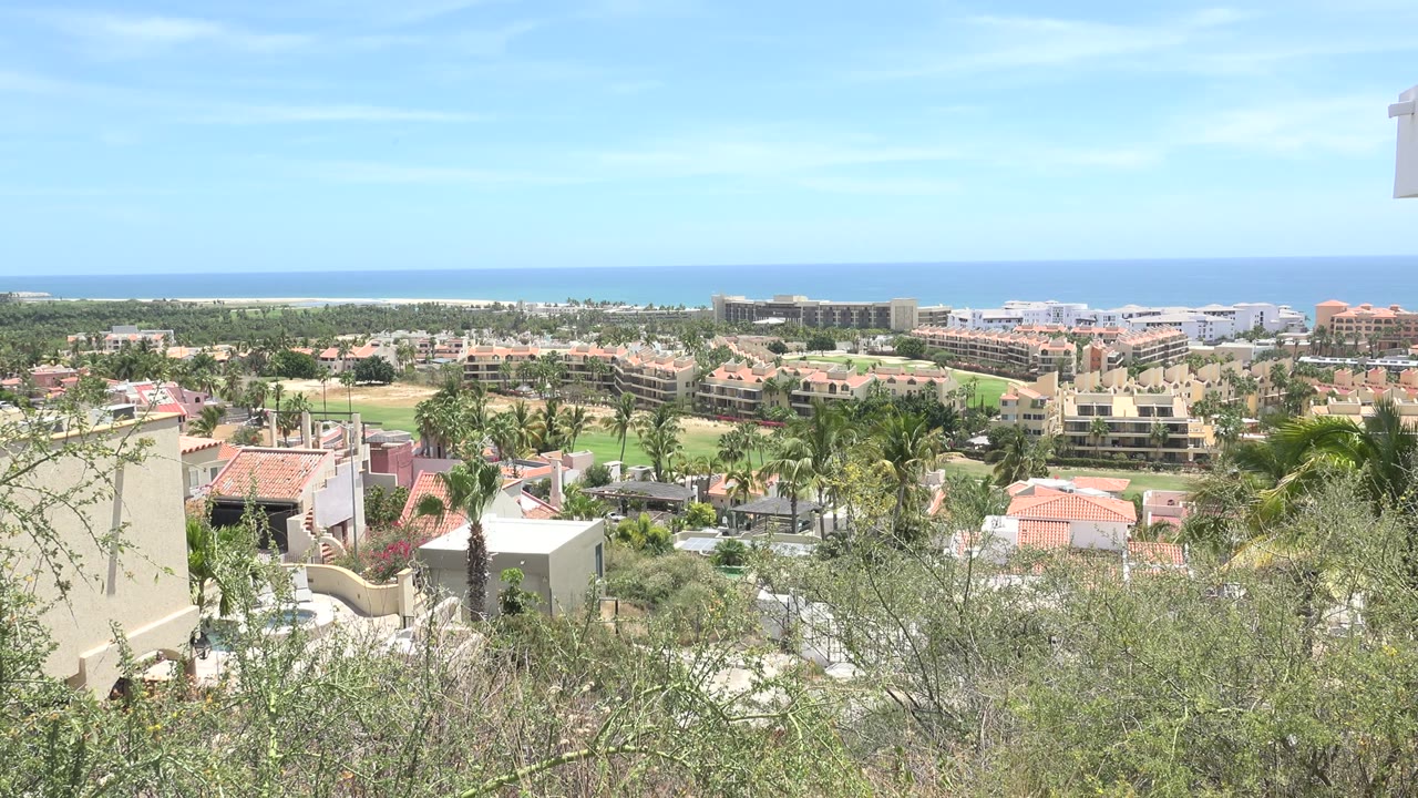 Hillside overlook of homes, palms, shrubs, and distant ocean