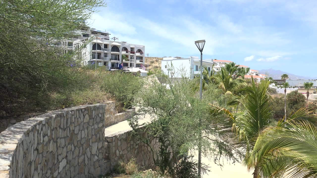 Stone wall, shrubs, palm fronds, lamp post, and pale hillside buildings under a blue sky.