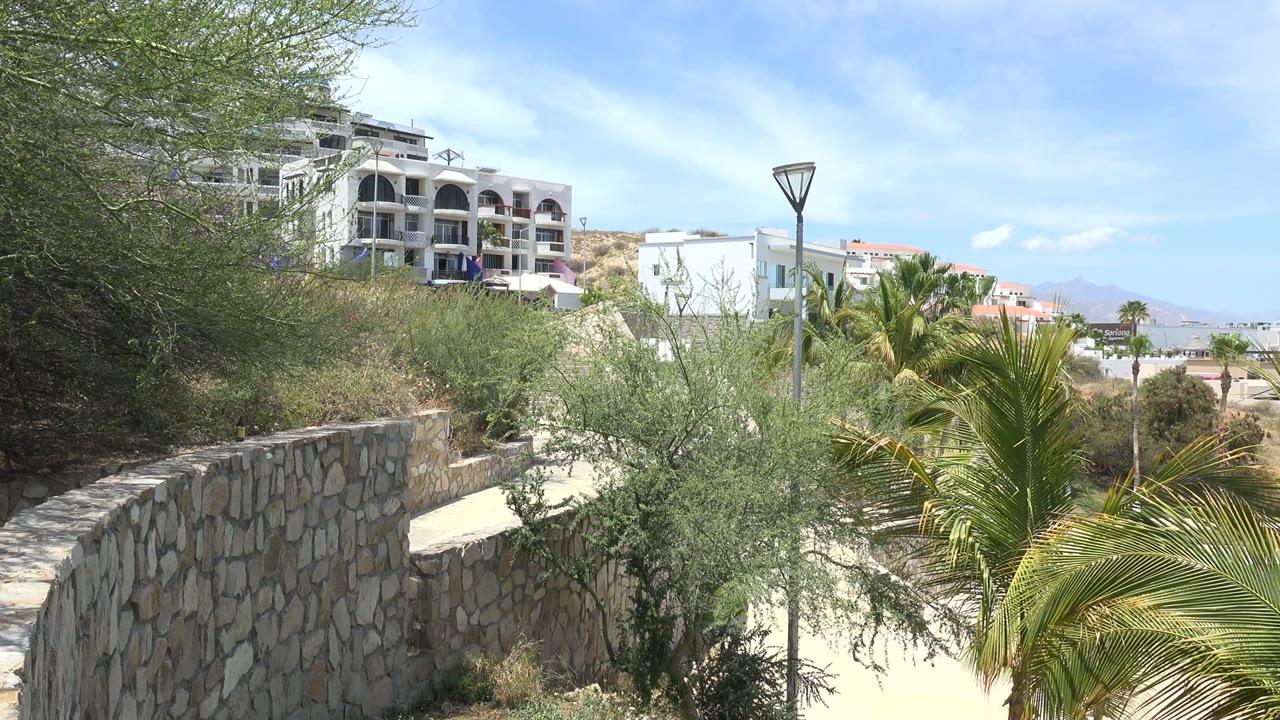 Los Cabos frame with the lamp post near center, palm leaves filling the lower right, a stone wall running along the left, and no visible people.