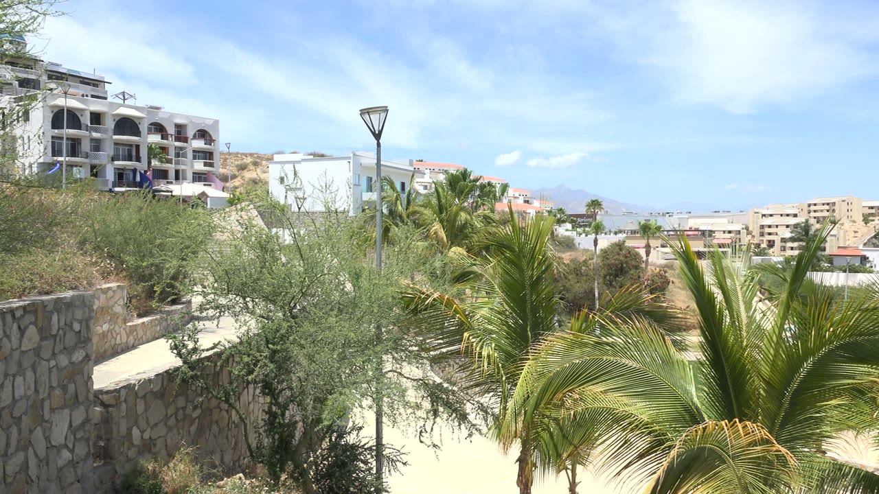 Palm trees and hillside buildings under a blue sky.