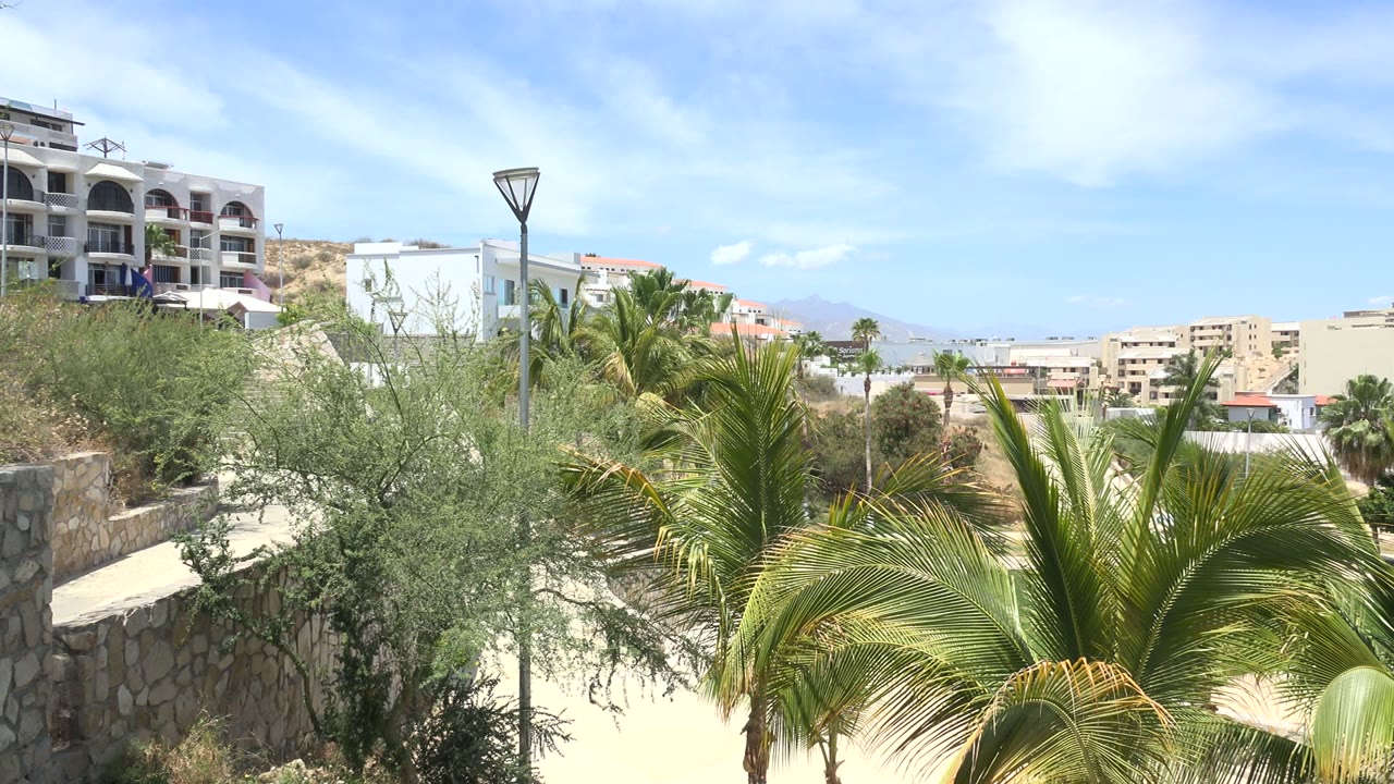 Los Cabos view one second in, showing dense palm leaves, a white building edge, hillside apartments, pale mountains, and no visible people.