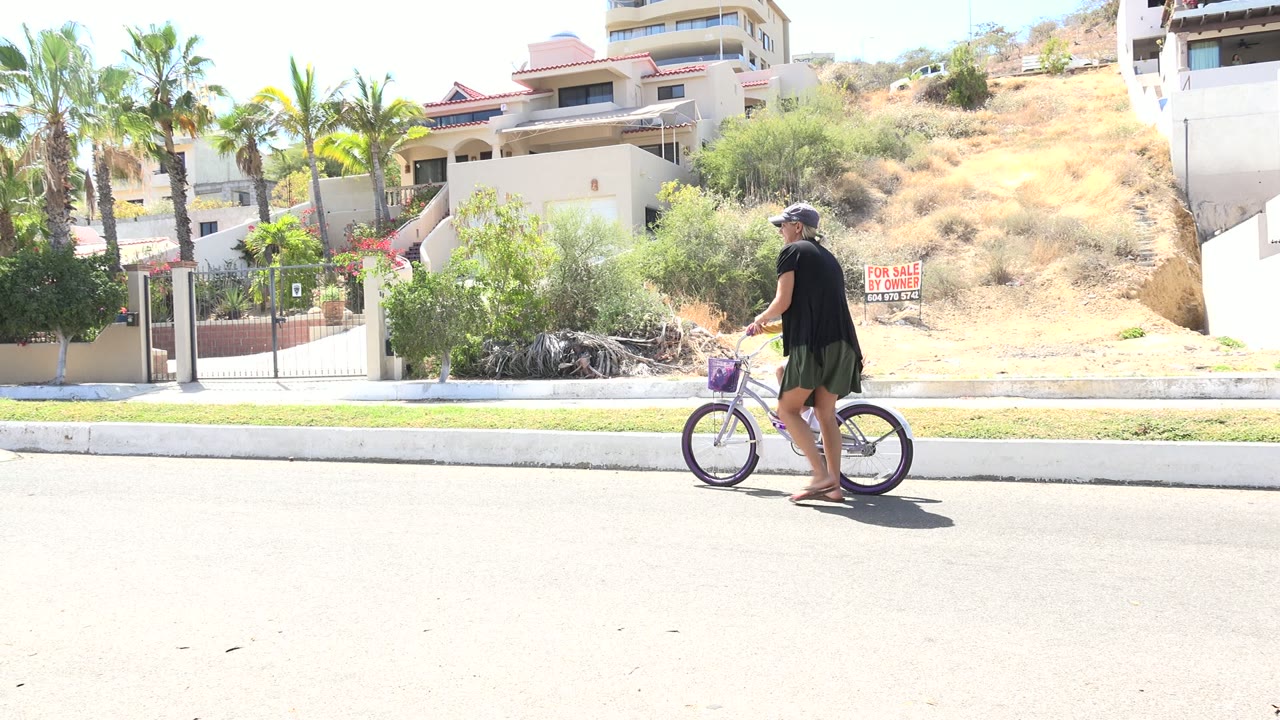 Adult walking beside a small purple bicycle on a sunny residential street.
