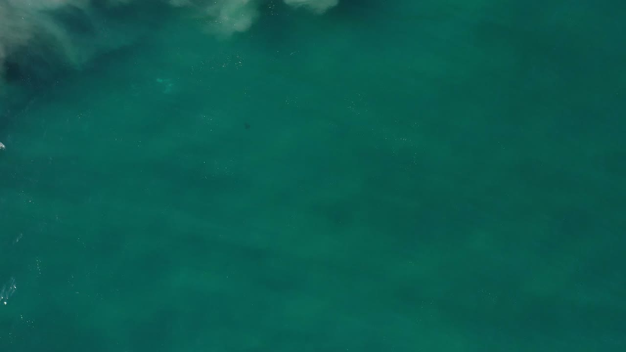 Green water seen from above with faint fish shapes and cloud shadow.
