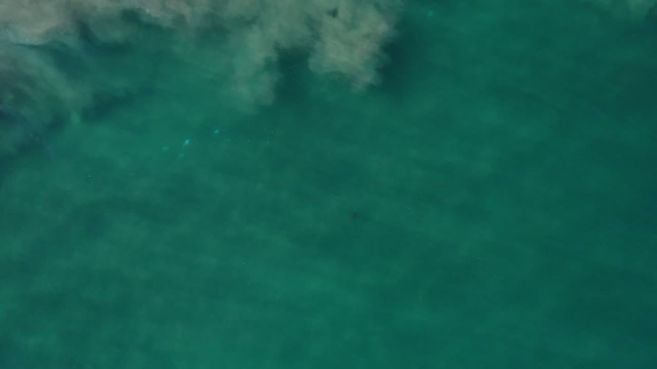 Overhead teal seawater with pale surf texture near the top of frame.