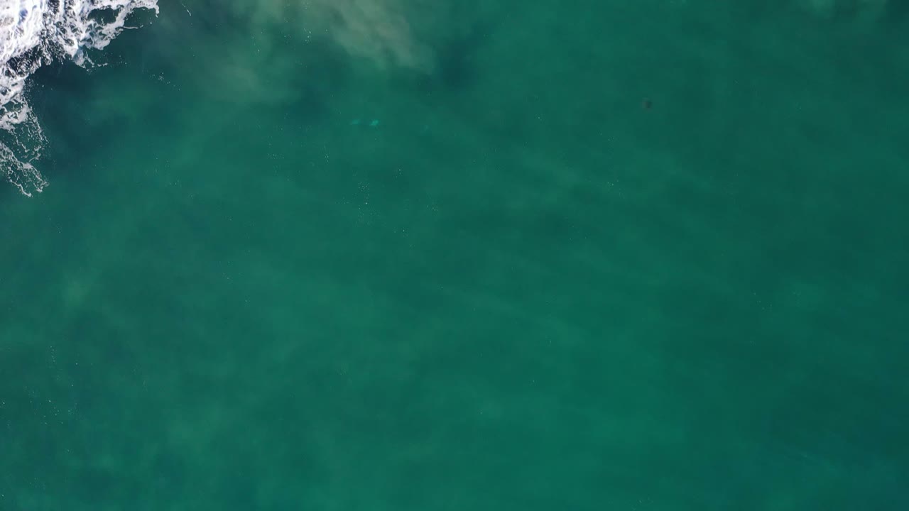 Overhead Los Cabos ocean frame with a small whitewater break near the top center and broad green water below, with no visible people.