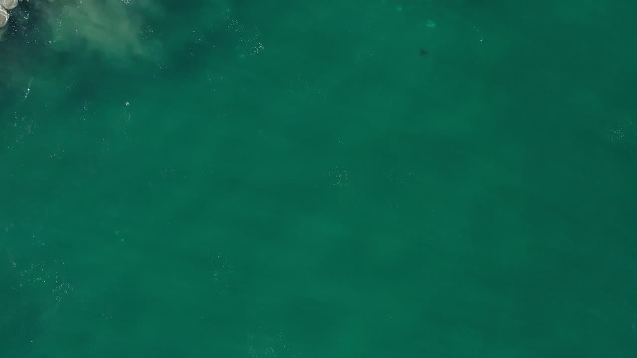 Overhead Los Cabos ocean frame with green water, soft pale sand plumes under the surface, and a narrow white wave edge entering from the top, no visible people.