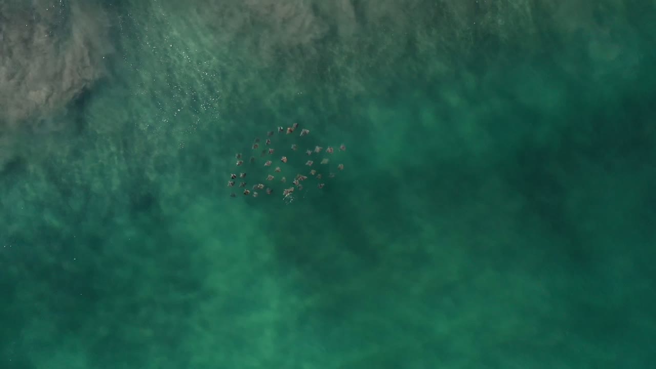 Overhead turquoise ocean water with darker submerged patches.