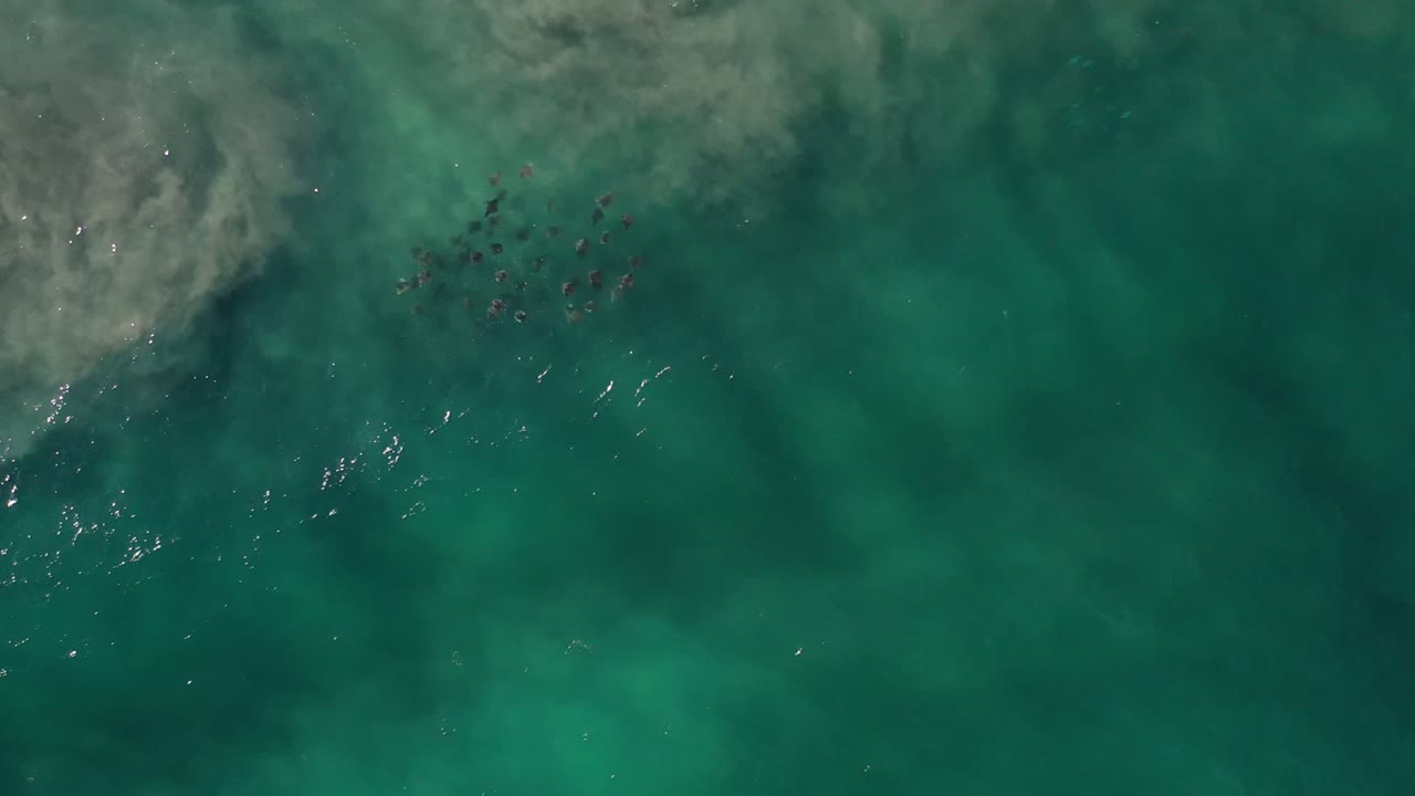 Aerial view over translucent green water in Los Cabos, Mexico, with scattered sun reflections below a soft foam band and no visible people.