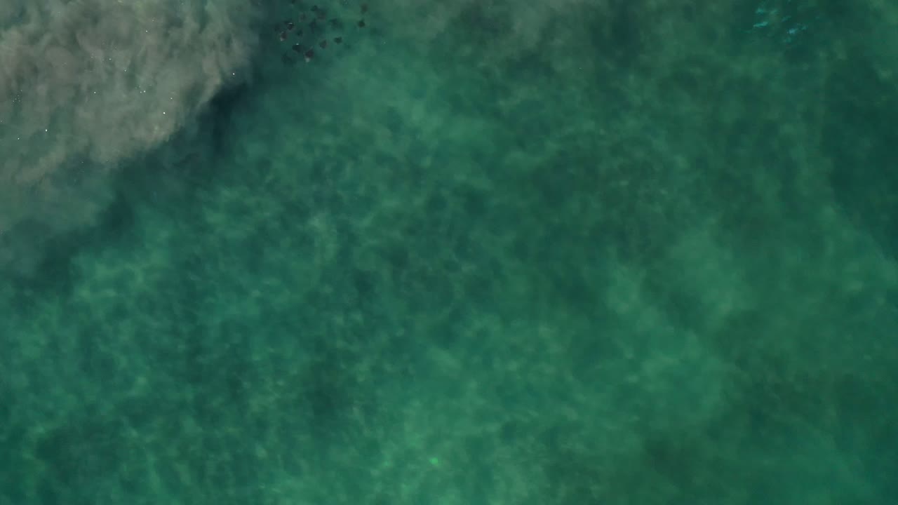 Overhead Los Cabos sea frame with darker submerged shapes under green water and a pale textured band near the top left, no visible people.