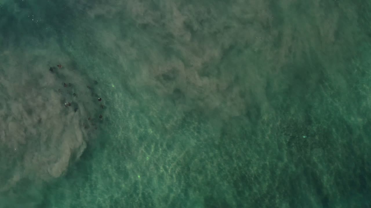 Overhead green water with pale submerged swirls