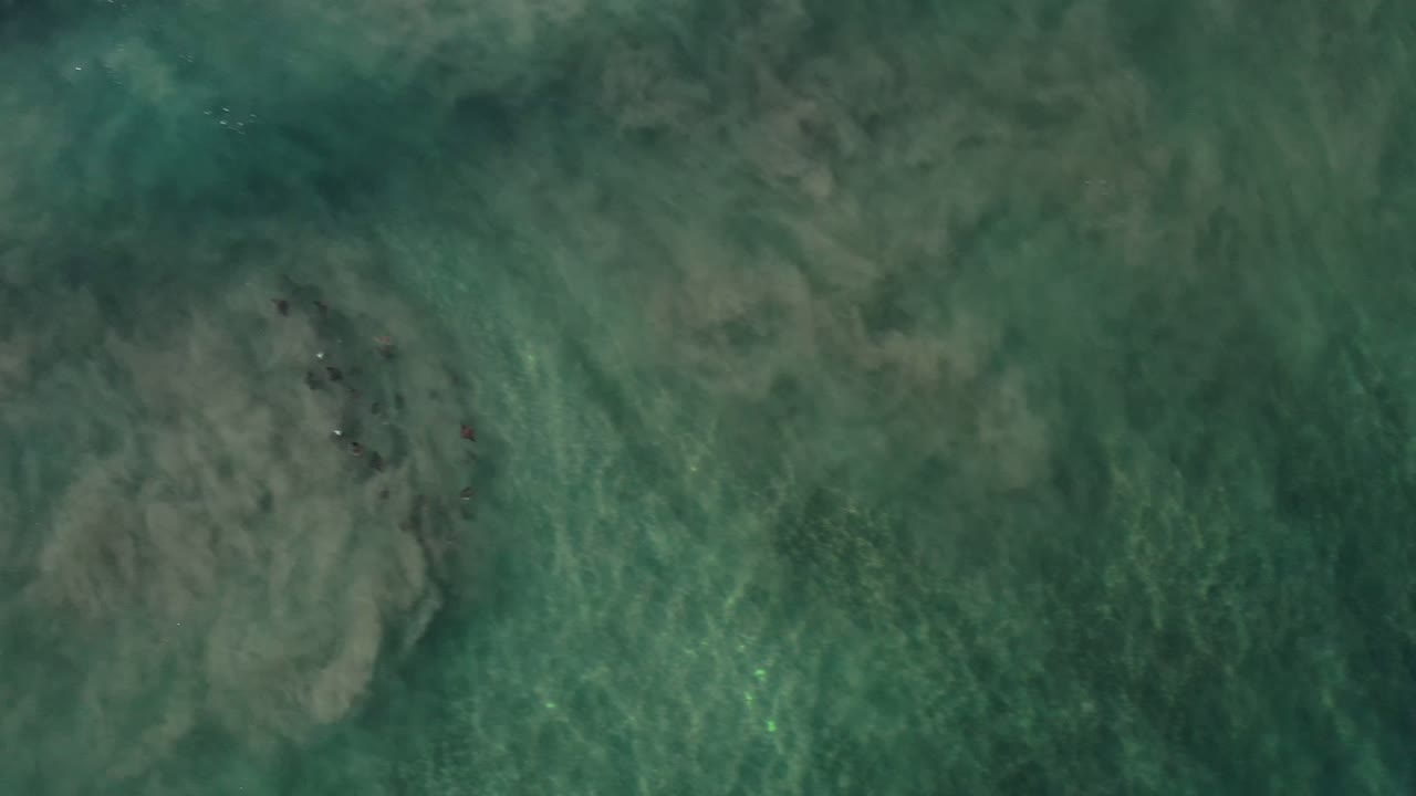 Green sea surface in Los Cabos, Mexico, with cloudy pale wave patterns centered in the frame and no visible people.
