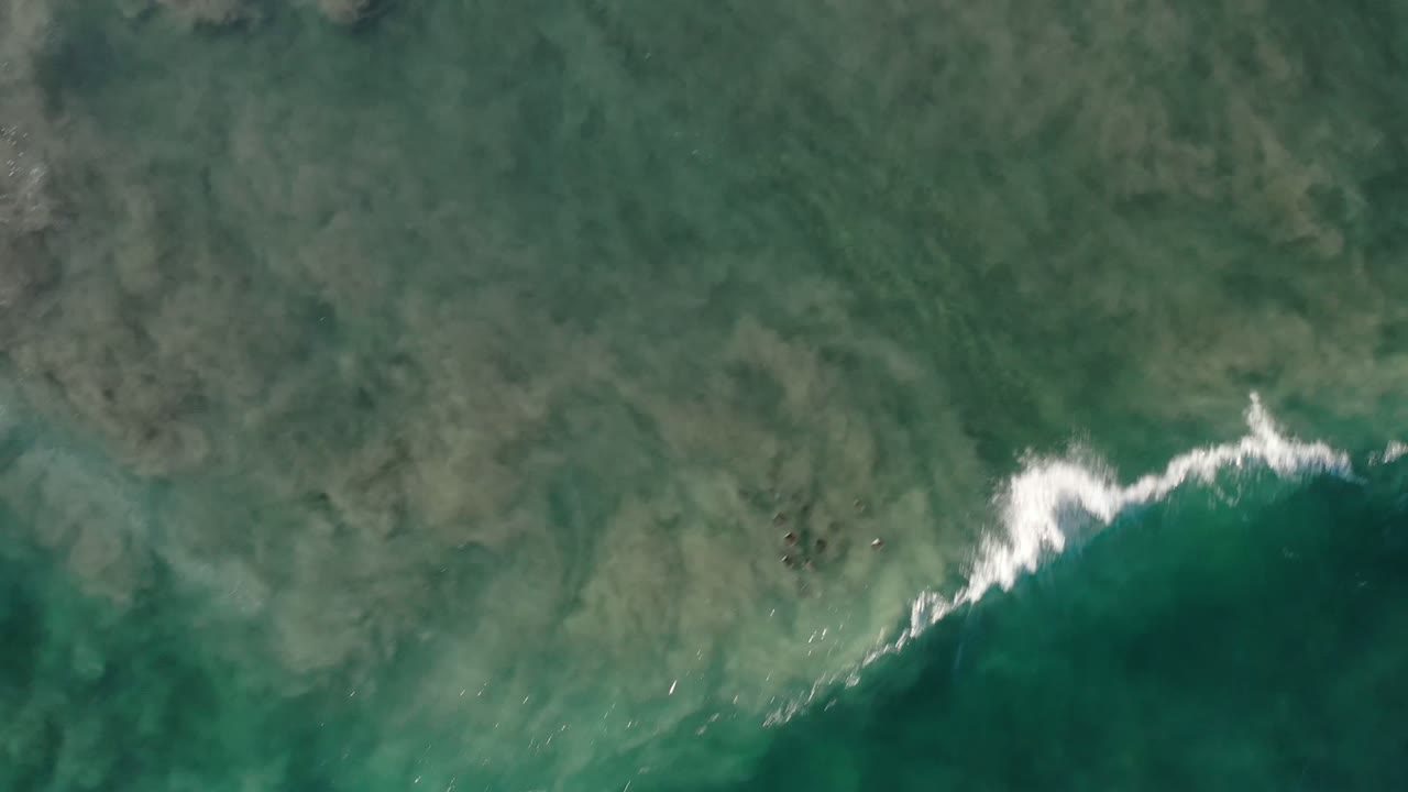 Overhead view of green and brown water in Los Cabos, Mexico, with a small white wave crest entering from the upper left and no visible people.