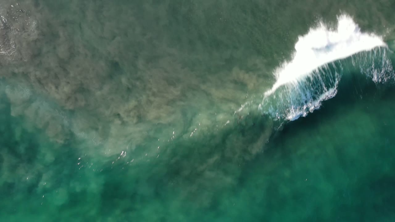 Aerial top-down frame of a longer whitecap stretching across green and brown Los Cabos water, with no visible people or structures.