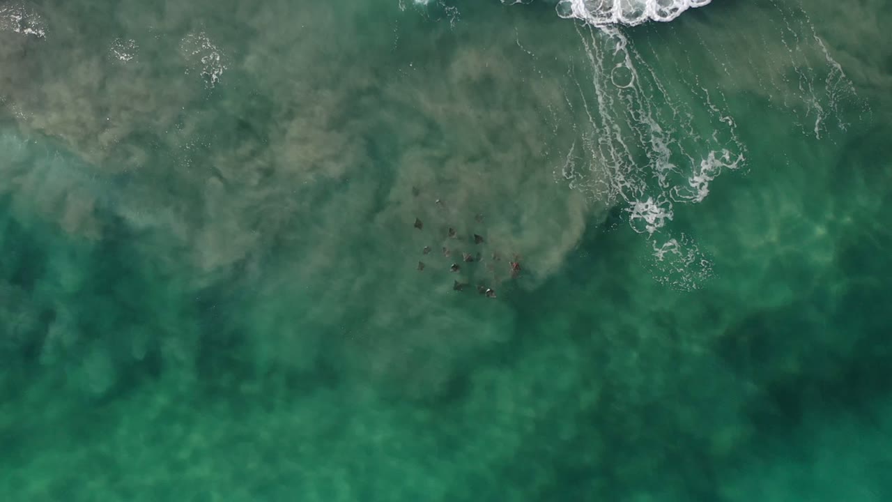 Overhead green seawater with small dark fish and white surf foam near the top edge.