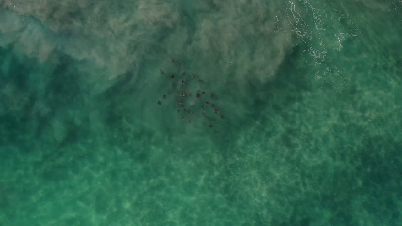 Overhead view of emerald ocean water in Los Cabos, Mexico, with faint wave streaks, scattered dark shapes near the upper left, and no visible people.