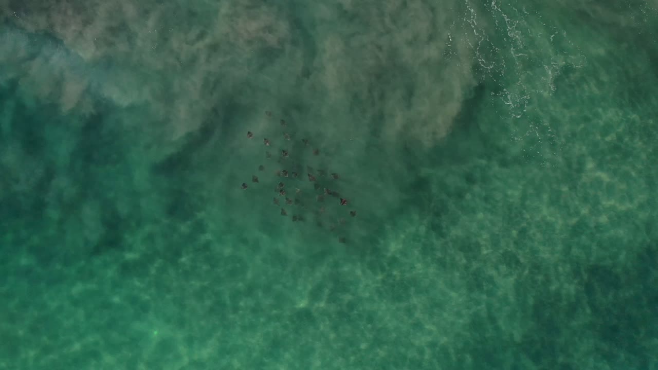 Aerial-looking view of emerald sea in Los Cabos, Mexico, with mottled water color, a small dark cluster near the center, and no visible people.