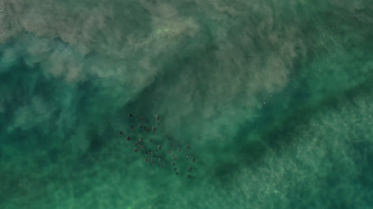 Overhead Los Cabos ocean frame with teal-green water, clouded darker wave areas, and a faint diagonal marine life cluster near the center.