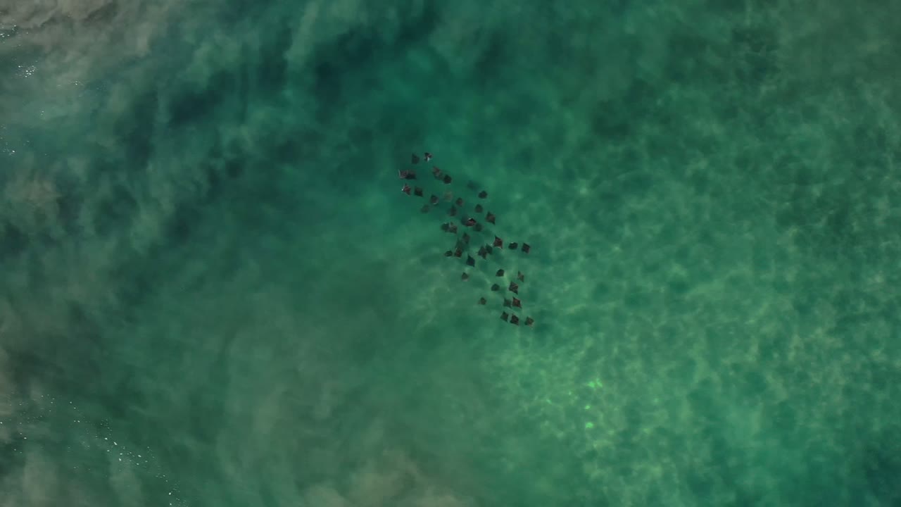 Overhead view of clear green sea water in Los Cabos, Mexico with dark submerged rocky patches near the upper left and no visible people.