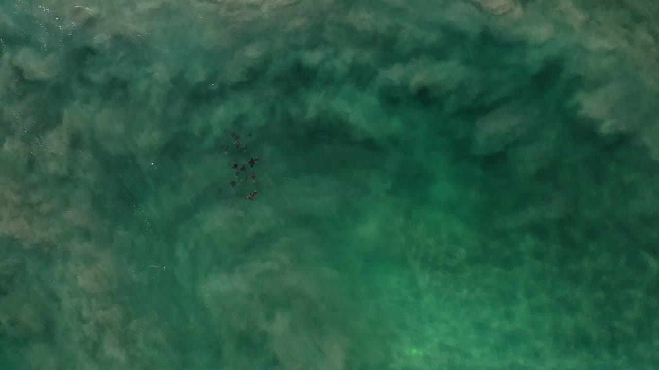 Overhead green ocean water with faint underwater patterns and small dark specks.